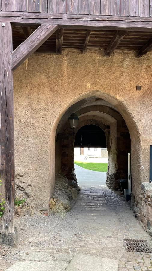 "Glueck Auf" Lichtdurchflutete Schicke Ferienwohnung In Zwickau Esterno foto