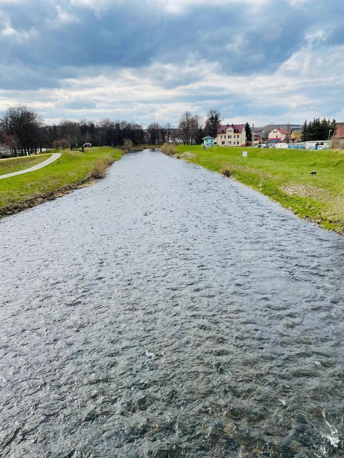 "Glueck Auf" Lichtdurchflutete Schicke Ferienwohnung In Zwickau Esterno foto
